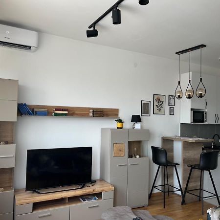Apartment Charlie Private Parking ノヴィ・サド エクステリア 写真