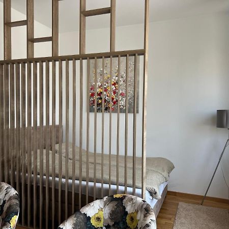 Apartment Charlie Private Parking ノヴィ・サド エクステリア 写真