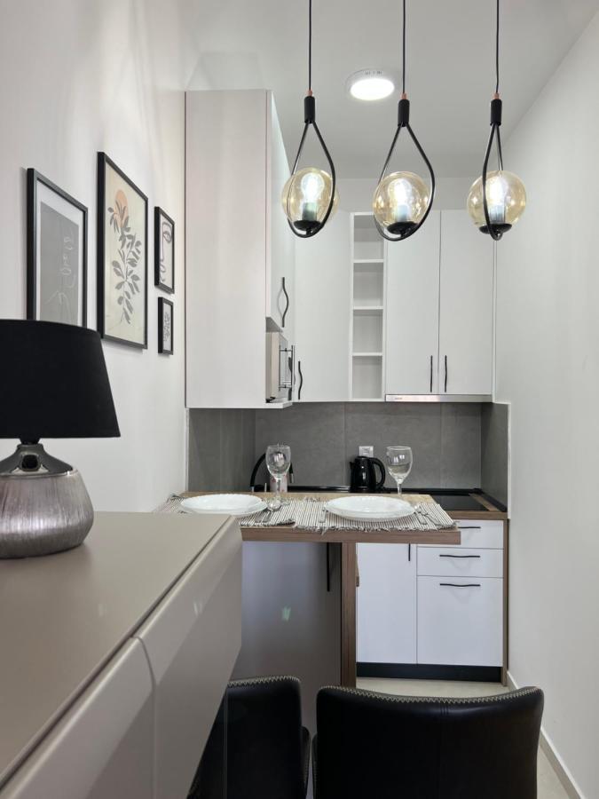 Apartment Charlie Private Parking ノヴィ・サド エクステリア 写真
