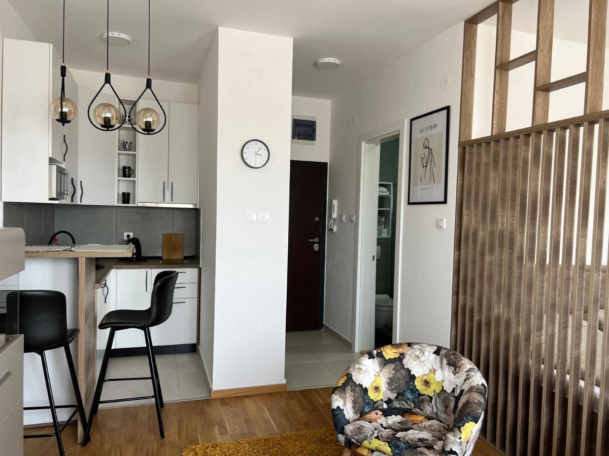 Apartment Charlie Private Parking ノヴィ・サド エクステリア 写真