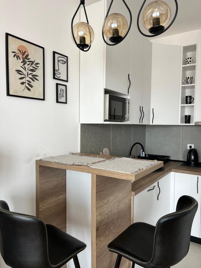 Apartment Charlie Private Parking ノヴィ・サド エクステリア 写真