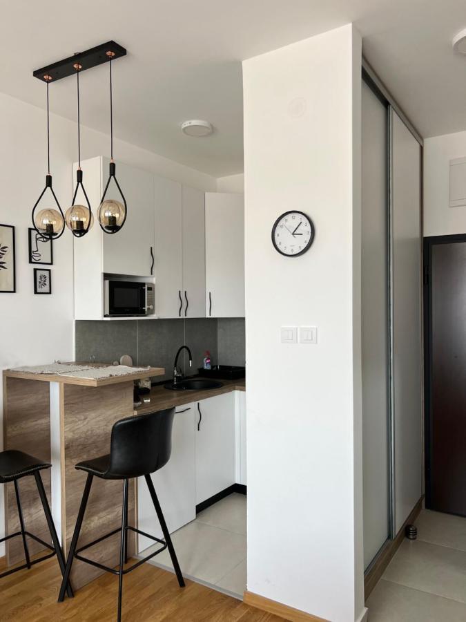 Apartment Charlie Private Parking ノヴィ・サド エクステリア 写真