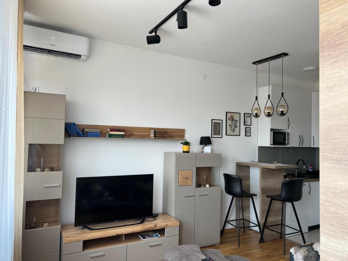 Apartment Charlie Private Parking ノヴィ・サド エクステリア 写真